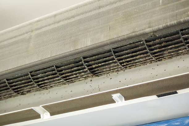 HVAC System Cleaning in Little Round Lake, WI